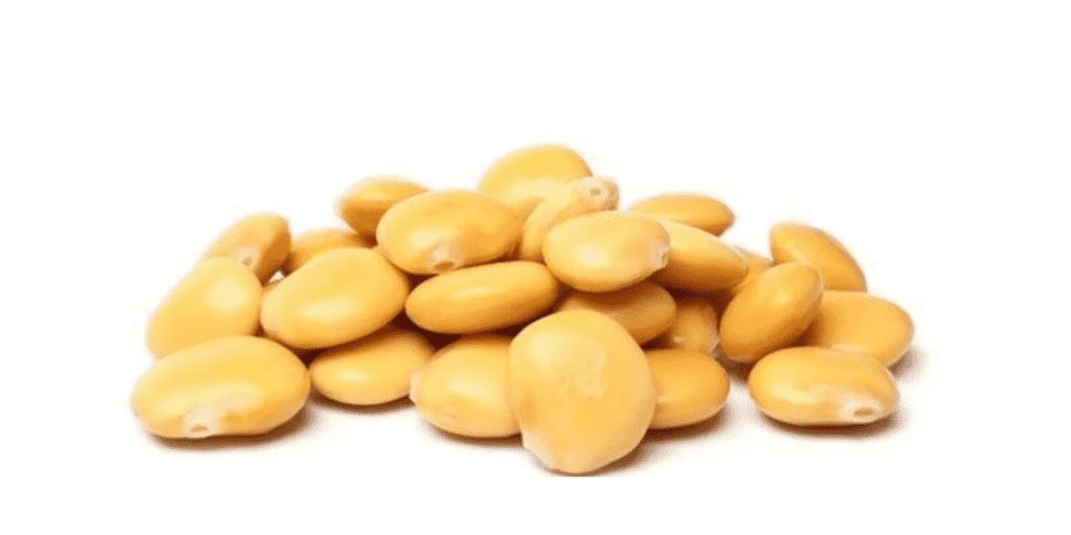 Benefícios do tremoço para a saúde